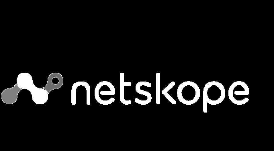 Logo netskope w25